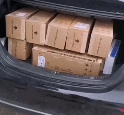 GIF.gif