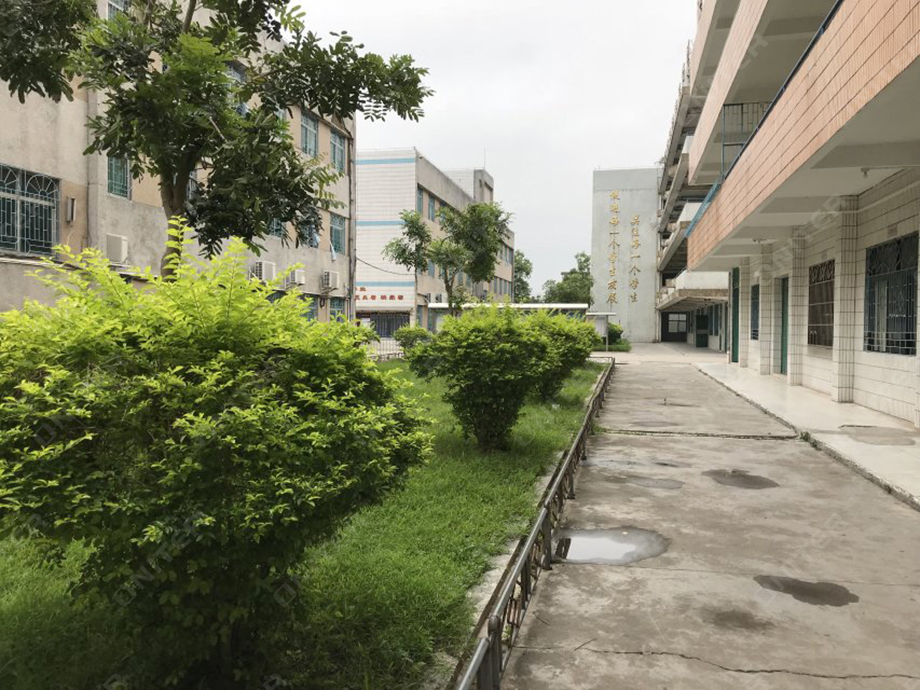 水口中學校園環境.jpg