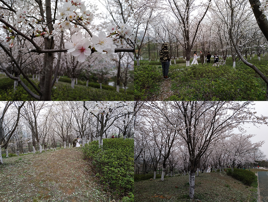 白龍廟風景圖.jpg