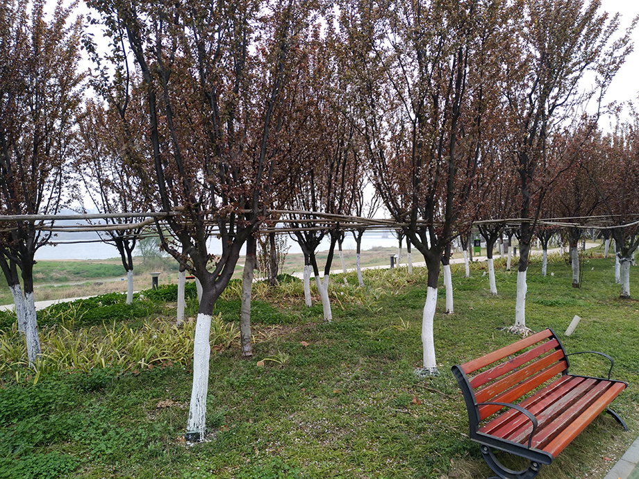 P80316-152505.jpg