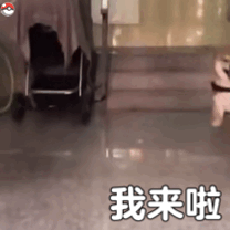 我來了表情包